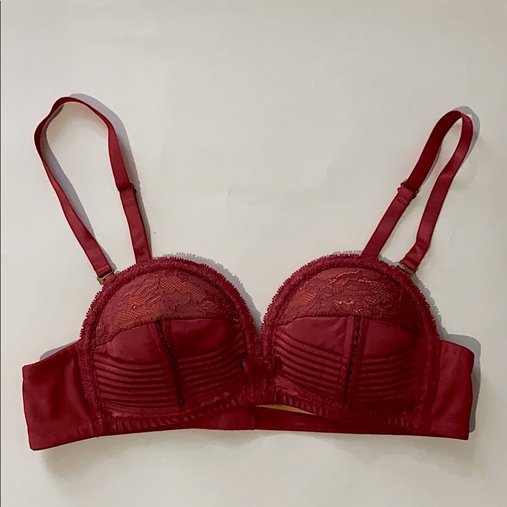 Dita Von Teese bra